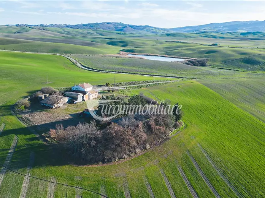 Immagine 2 di Azienda agricola in vendita  a Castiglione D'orcia