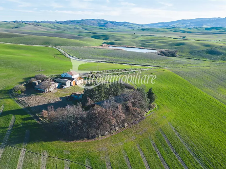 Immagine 5 di Azienda agricola in vendita  a Castiglione D'orcia