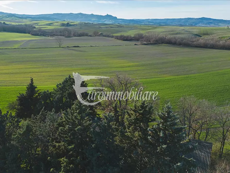 Immagine 7 di Azienda agricola in vendita  a Castiglione D'orcia
