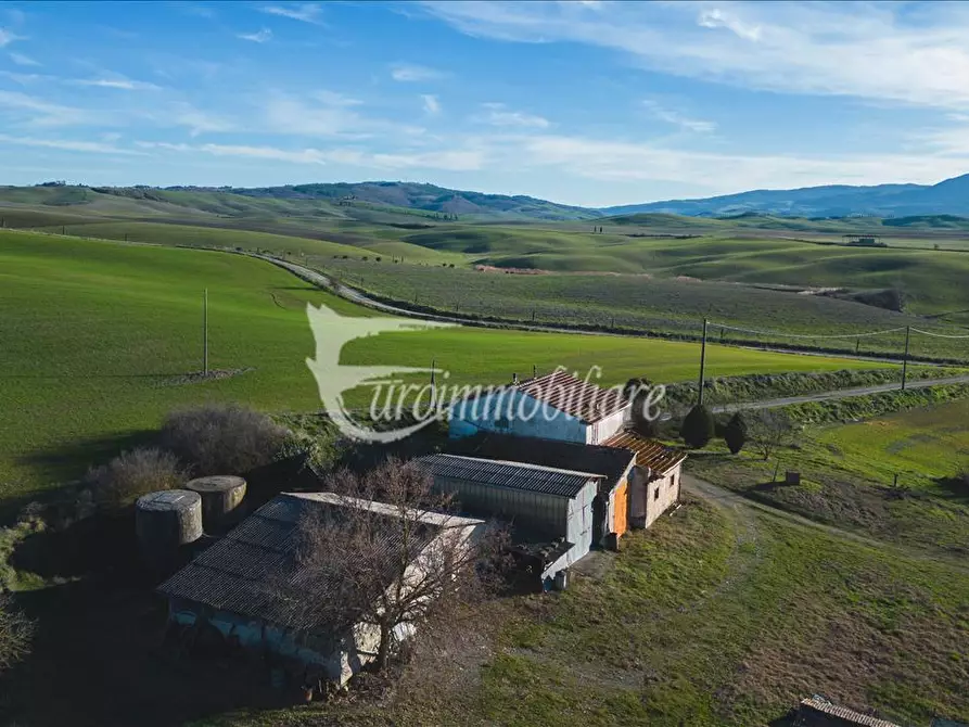 Immagine 8 di Azienda agricola in vendita  a Castiglione D'orcia