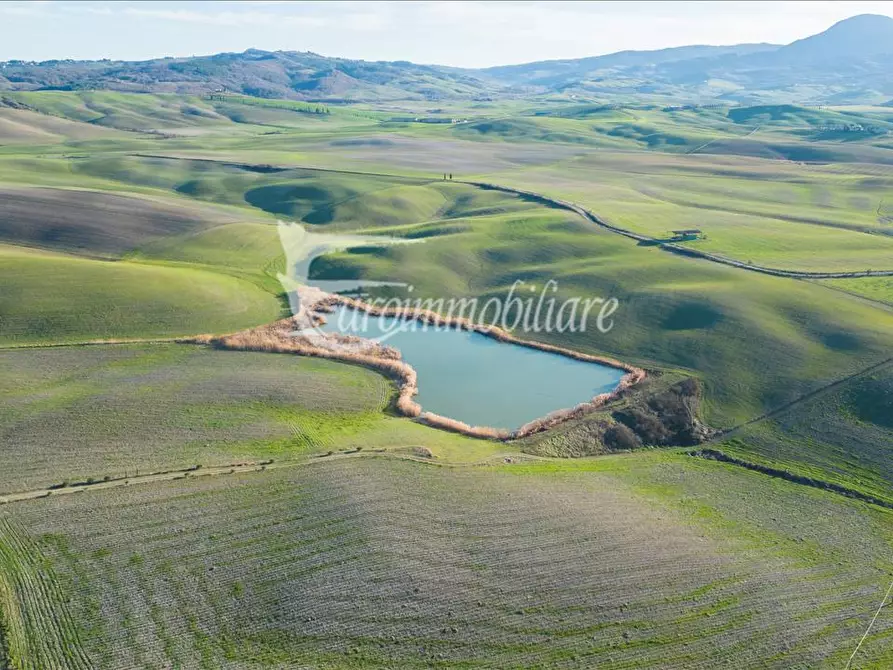 Immagine 4 di Azienda agricola in vendita  a Castiglione D'orcia
