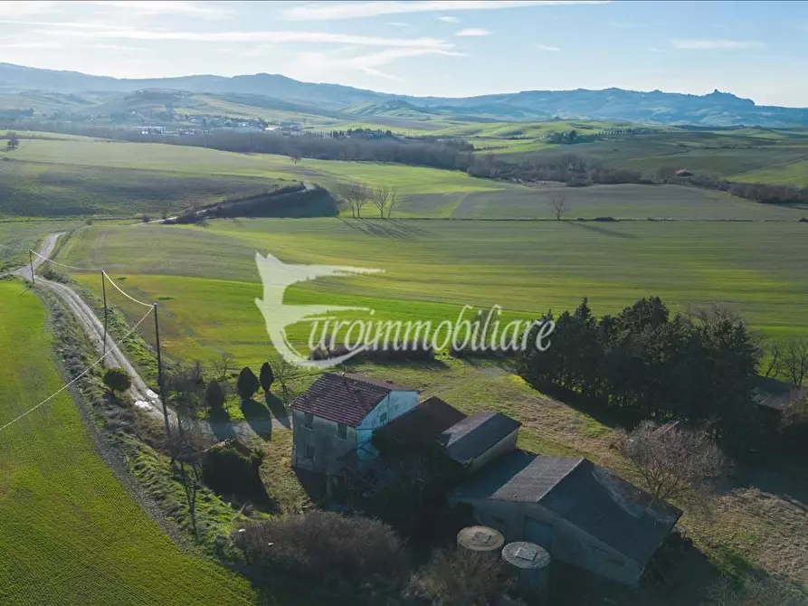 Immagine 10 di Azienda agricola in vendita  a Castiglione D'orcia