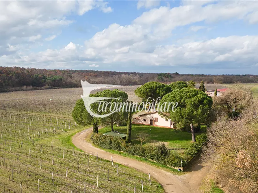 Immagine 1 di Azienda agricola in vendita  in Via Castagni a Castiglione Del Lago