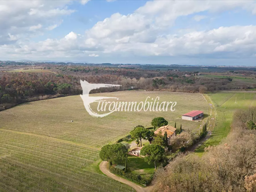 Immagine 4 di Azienda agricola in vendita  in Via Castagni a Castiglione Del Lago