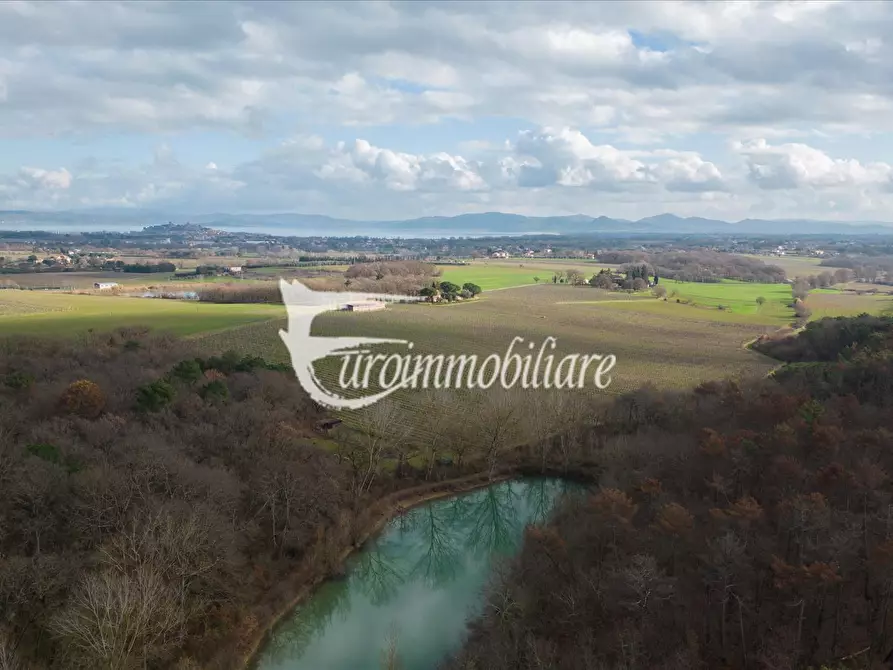 Immagine 2 di Azienda agricola in vendita  in Via Castagni a Castiglione Del Lago