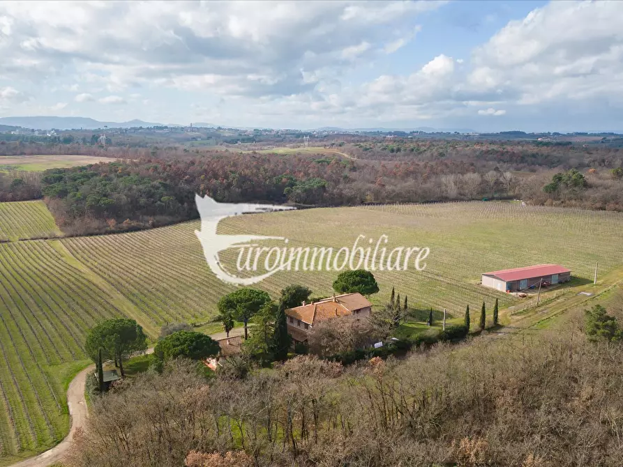 Immagine 5 di Azienda agricola in vendita  in Via Castagni a Castiglione Del Lago