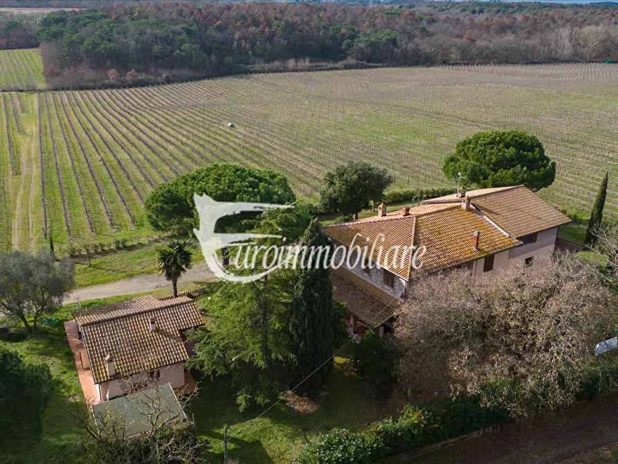 Immagine 6 di Azienda agricola in vendita  in Via Castagni a Castiglione Del Lago