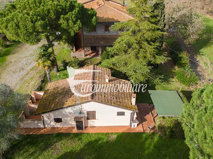 Immagine 7 di Azienda agricola in vendita  in Via Castagni a Castiglione Del Lago