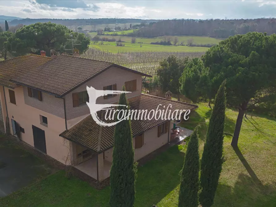 Immagine 3 di Azienda agricola in vendita  in Via Castagni a Castiglione Del Lago