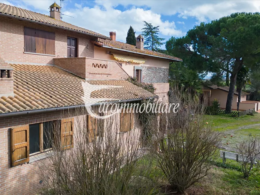 Immagine 8 di Azienda agricola in vendita  in Via Castagni a Castiglione Del Lago