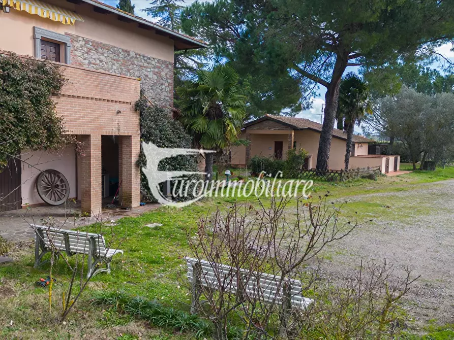 Immagine 9 di Azienda agricola in vendita  in Via Castagni a Castiglione Del Lago