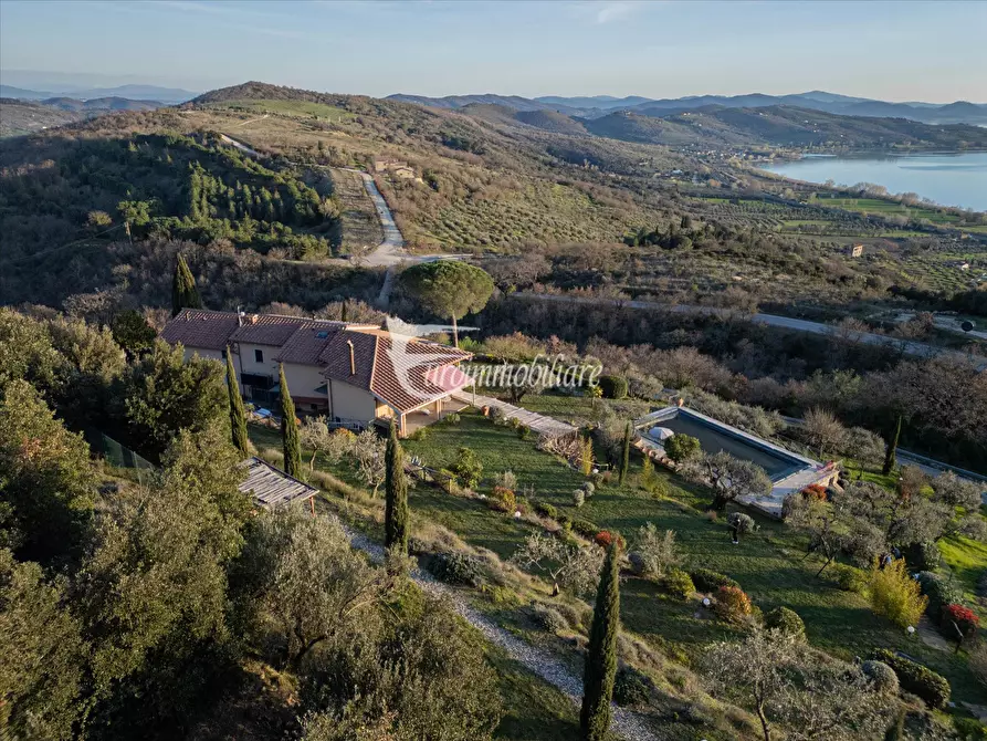 Immagine 3 di Villa in vendita  a Passignano Sul Trasimeno