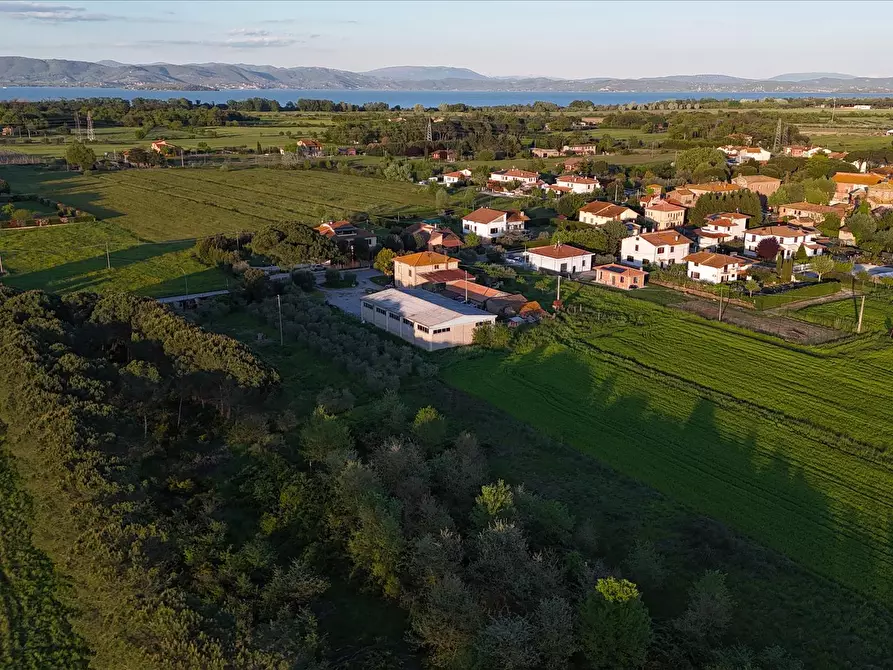 Immagine 6 di Locale commerciale in vendita  a Castiglione Del Lago