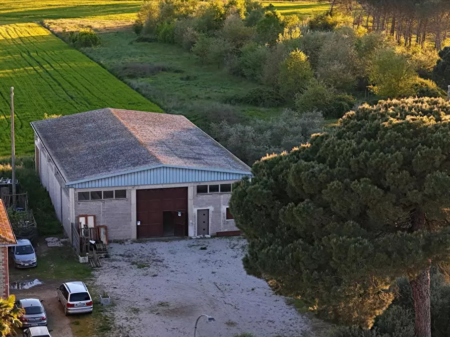 Immagine 8 di Locale commerciale in vendita  a Castiglione Del Lago