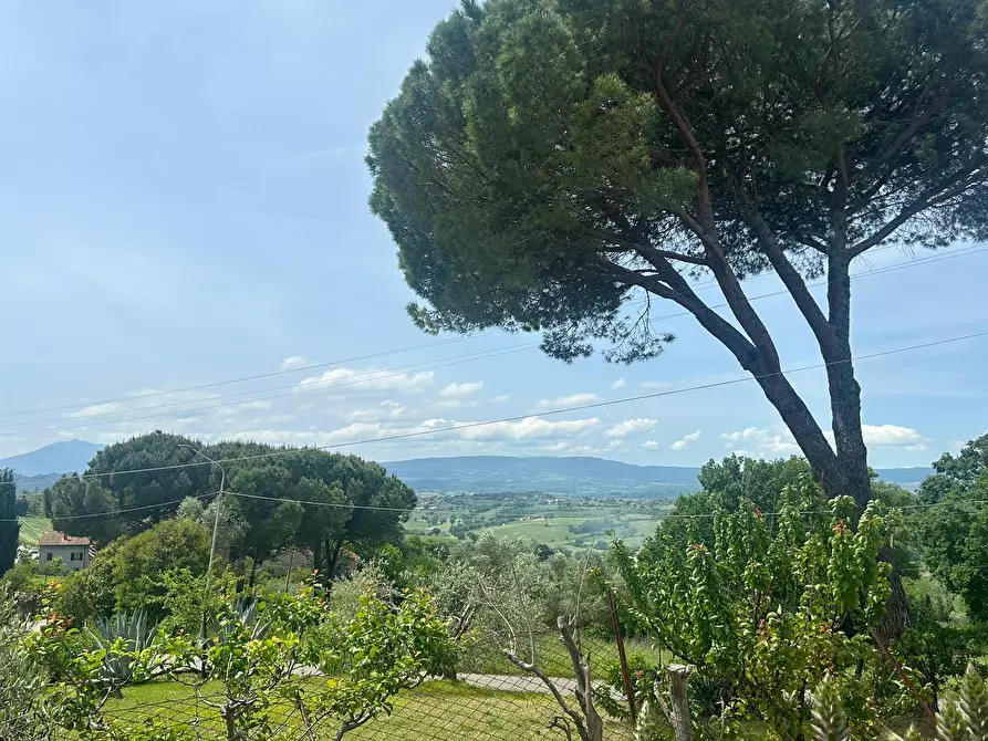 Immagine 6 di Casa indipendente in vendita  a Castiglione Del Lago