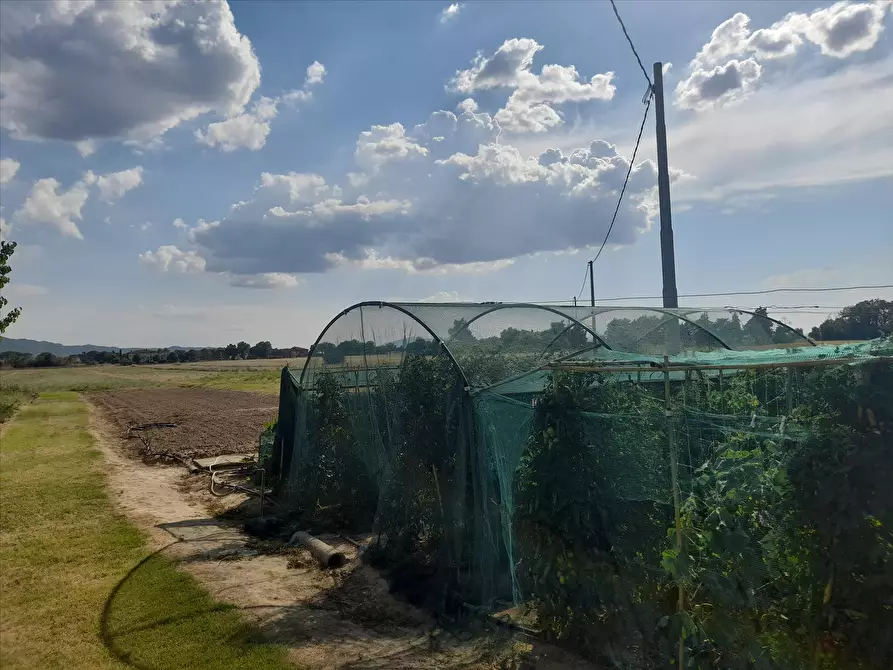 Immagine 7 di Appartamento in vendita  a Panicale