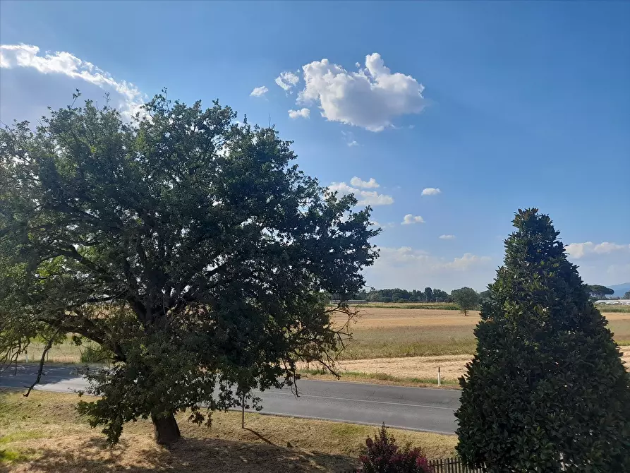 Immagine 9 di Appartamento in vendita  a Panicale