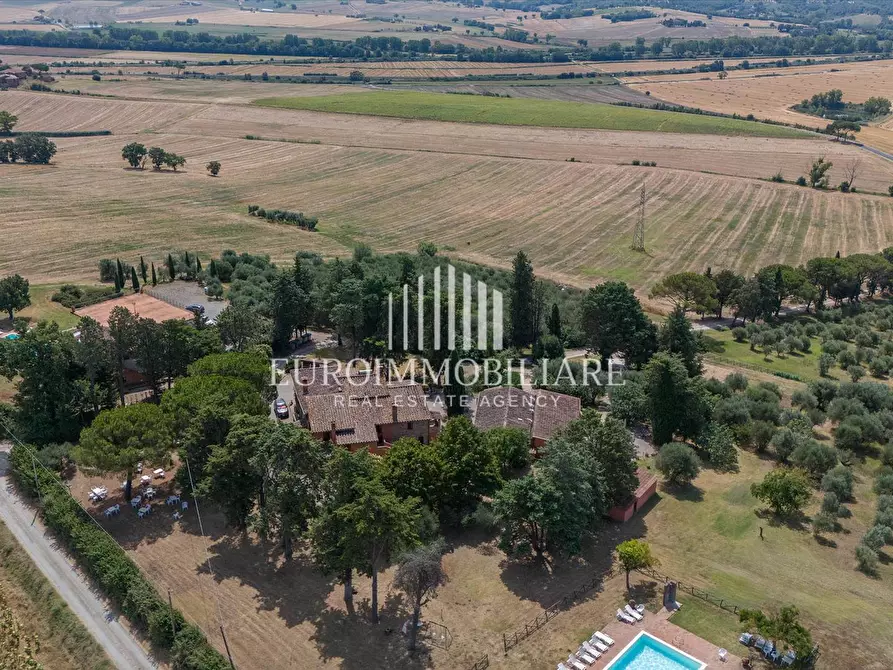 Immagine 6 di Rustico / casale in vendita  a Castiglione Del Lago