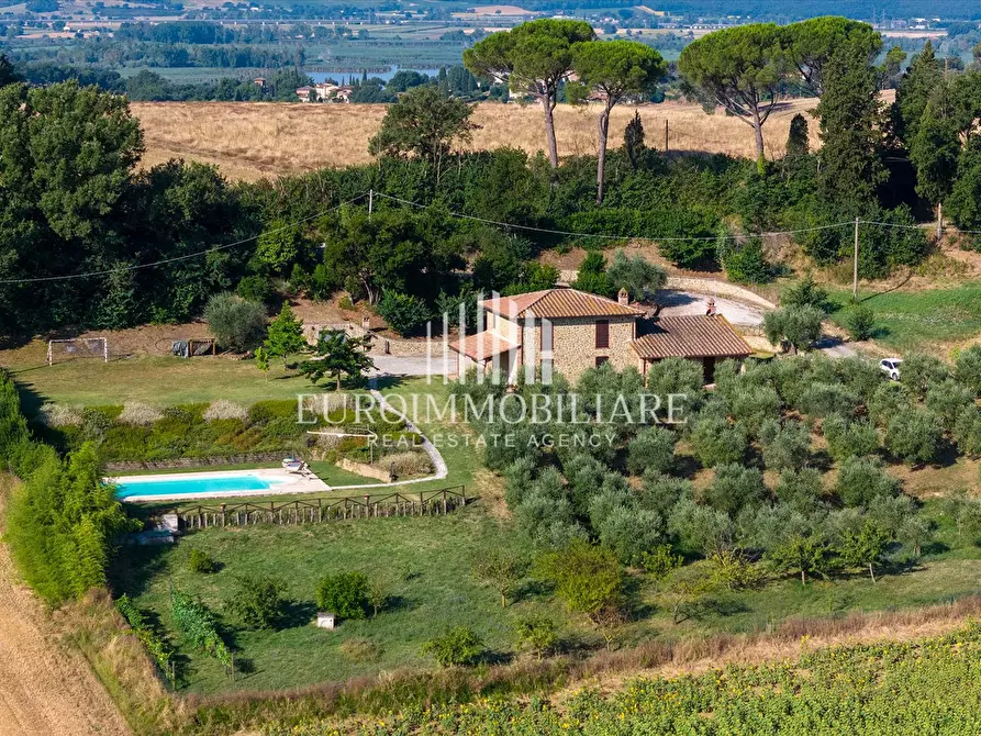 Immagine 6 di Rustico / casale in vendita  a Castiglione Del Lago