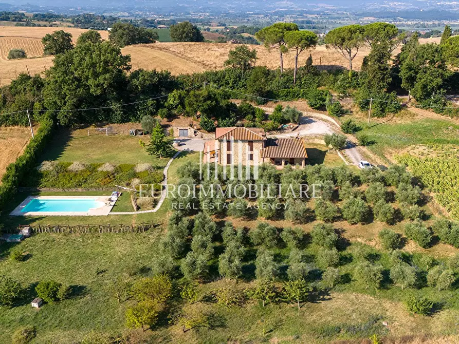 Immagine 4 di Rustico / casale in vendita  a Castiglione Del Lago