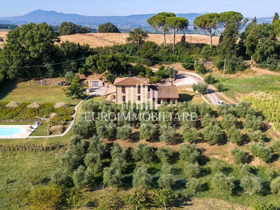 Immagine 7 di Rustico / casale in vendita  a Castiglione Del Lago