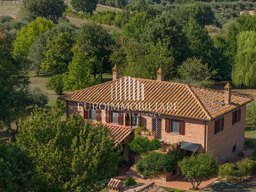 Immagine 2 di Rustico / casale in vendita  in SP304, 23 a Castiglione Del Lago