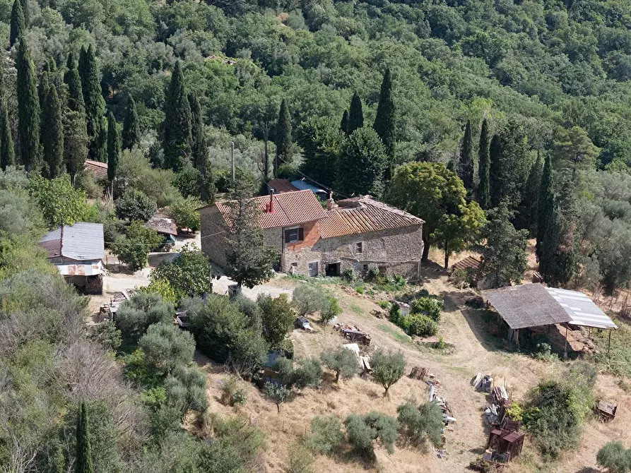 Immagine 3 di Rustico / casale in vendita  in Via Cappuccini, 1 a Passignano Sul Trasimeno