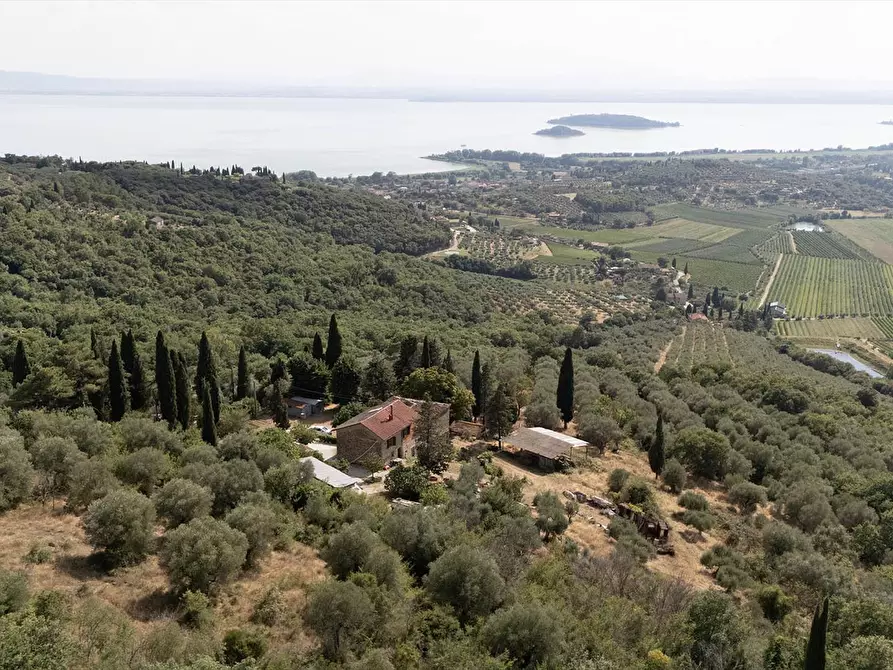 Immagine 4 di Rustico / casale in vendita  in Via Cappuccini, 1 a Passignano Sul Trasimeno