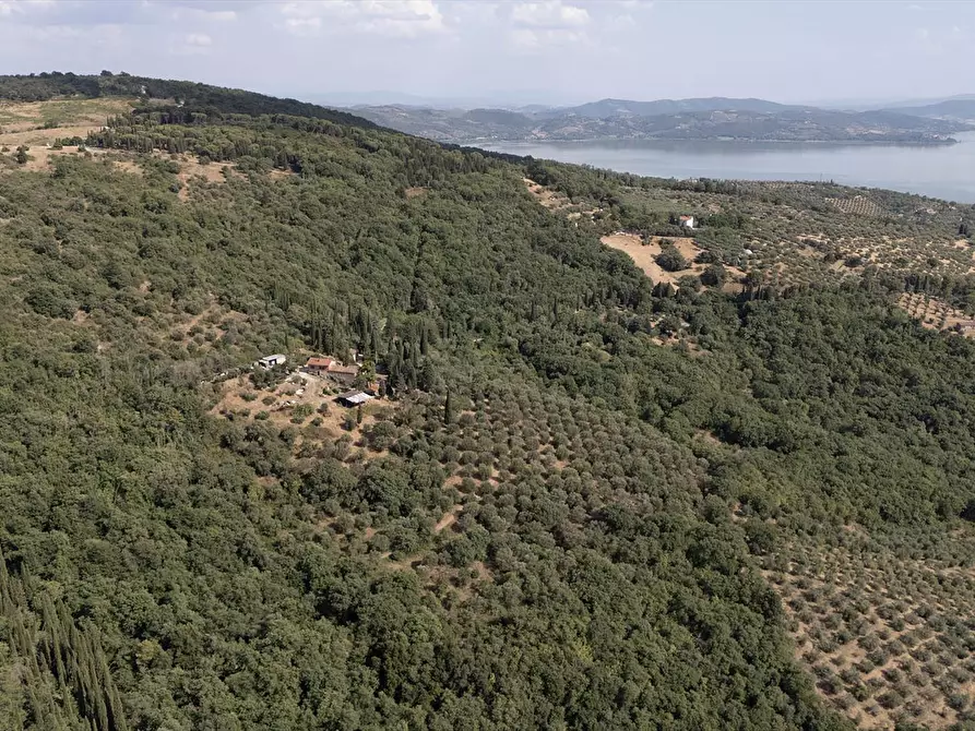 Immagine 9 di Rustico / casale in vendita  in Via Cappuccini, 1 a Passignano Sul Trasimeno