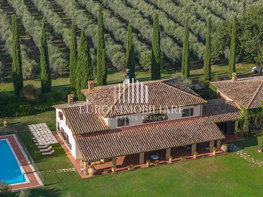 Immagine 2 di Rustico / casale in vendita  in 32MC+6J a Castiglione Del Lago