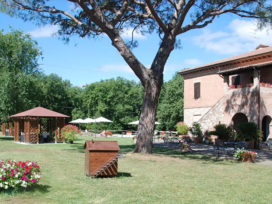 Immagine 5 di Rustico / casale in vendita  in S.S.454 a Castiglione Del Lago