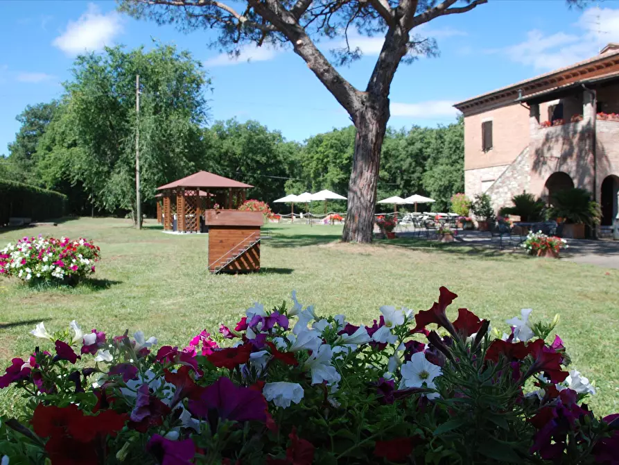 Immagine 6 di Rustico / casale in vendita  in S.S.454 a Castiglione Del Lago