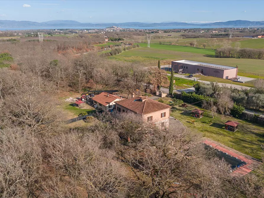 Immagine 6 di Rustico / casale in vendita  in S.S.454 a Castiglione Del Lago