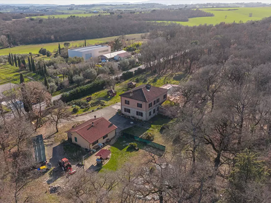Immagine 7 di Rustico / casale in vendita  in S.S.454 a Castiglione Del Lago