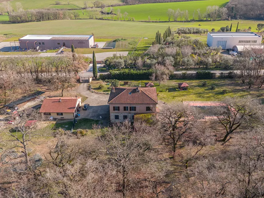 Immagine 8 di Rustico / casale in vendita  in S.S.454 a Castiglione Del Lago