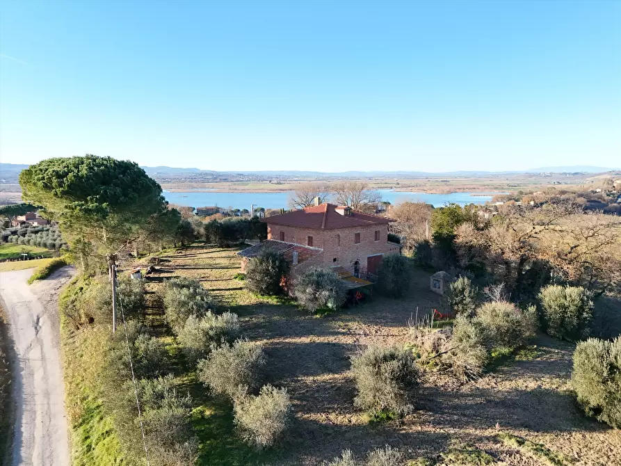 Immagine 6 di Rustico / casale in vendita  in Via Guidonami, 16 a Castiglione Del Lago