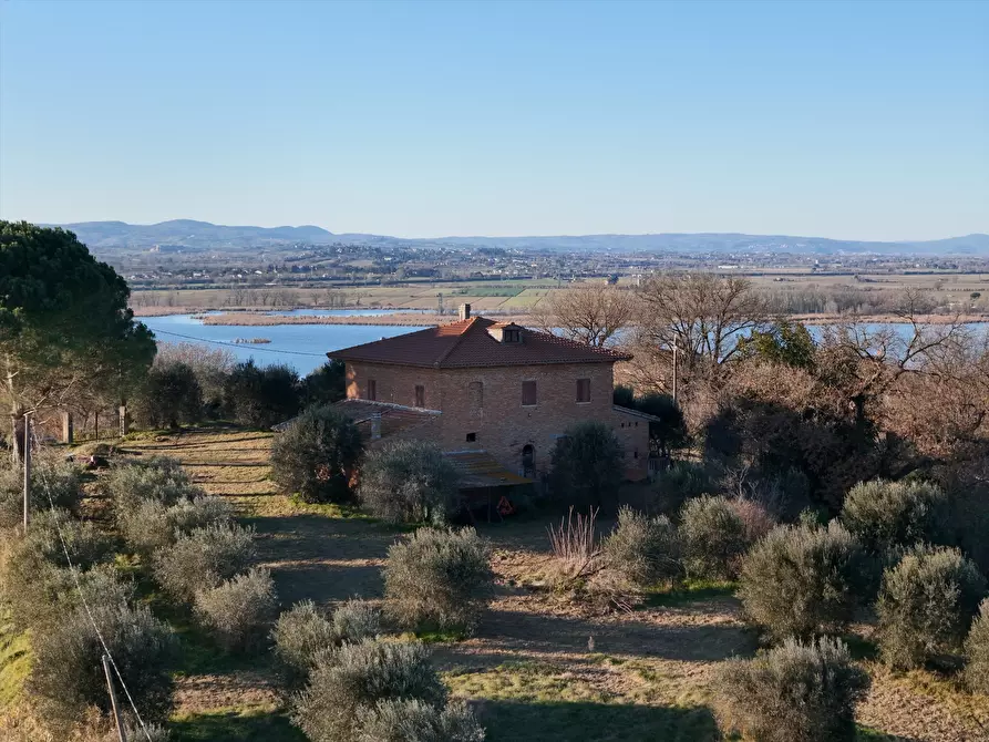 Immagine 5 di Rustico / casale in vendita  in Via Guidonami, 16 a Castiglione Del Lago