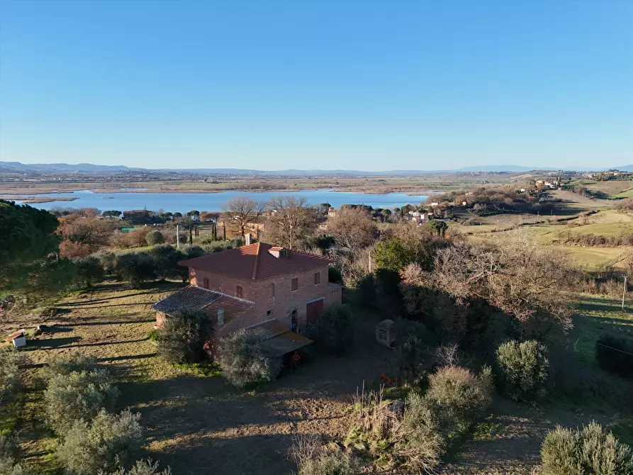 Immagine 4 di Rustico / casale in vendita  in Via Guidonami, 16 a Castiglione Del Lago