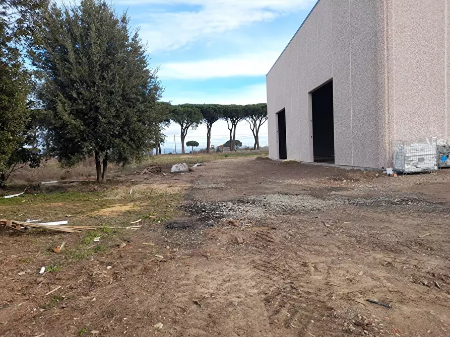 Immagine 5 di Locale commerciale in affitto  in via zona industriale, 10 a Castiglione Del Lago