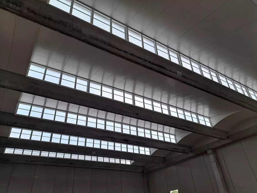 Immagine 9 di Locale commerciale in affitto  in via zona industriale, 10 a Castiglione Del Lago