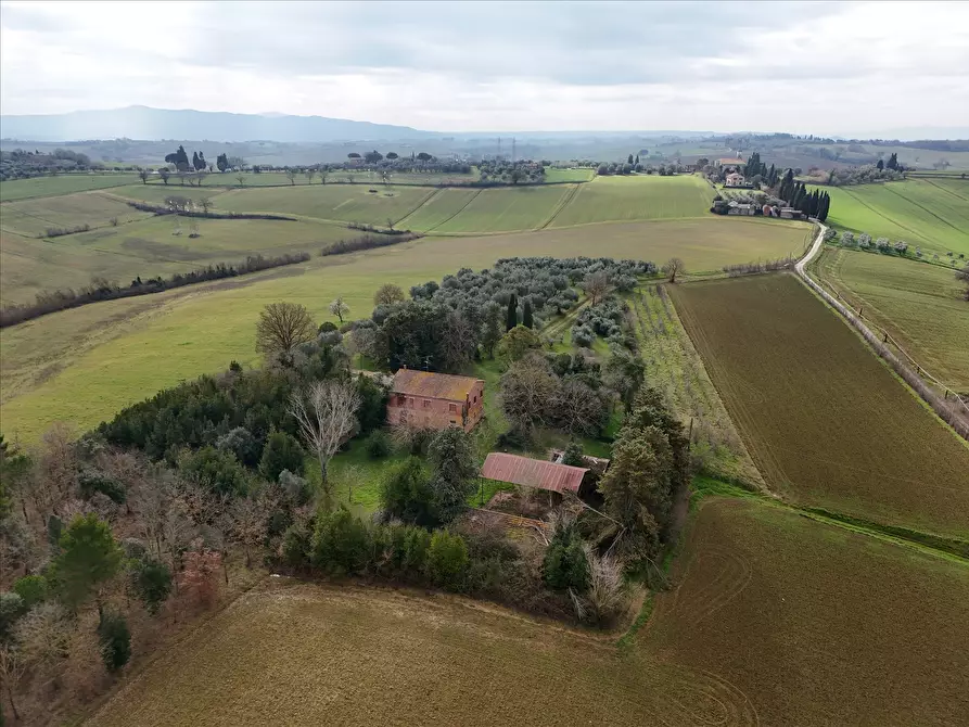 Immagine 6 di Rustico / casale in vendita  in Via S. Biagio, 14 a Castiglione Del Lago