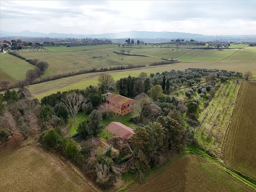 Immagine 5 di Rustico / casale in vendita  in Via S. Biagio, 14 a Castiglione Del Lago