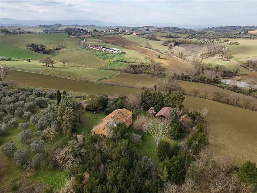 Immagine 4 di Rustico / casale in vendita  in Via S. Biagio, 14 a Castiglione Del Lago
