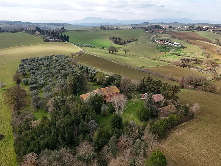Immagine 3 di Rustico / casale in vendita  in Via S. Biagio, 14 a Castiglione Del Lago