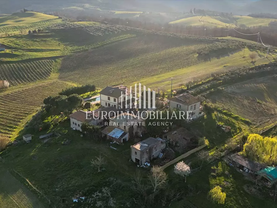 Immagine 8 di Agriturismo in vendita  in Via Lucca, 11 a Torrita Di Siena