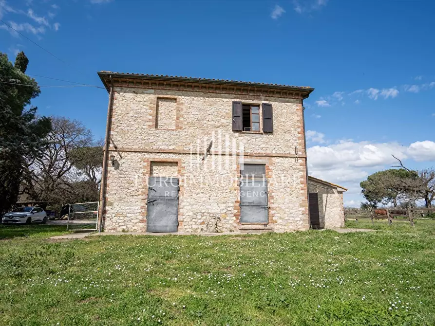 Immagine 5 di Rustico / casale in vendita  in Località Marchetti, 25 a Castiglione Del Lago