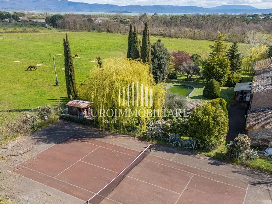 Immagine 4 di Rustico / casale in vendita  in Località Marchetti, 22 a Castiglione Del Lago