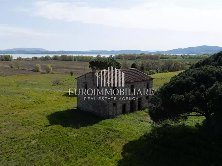 Immagine 8 di Rustico / casale in vendita  in Via Romea, 16 a Castiglione Del Lago