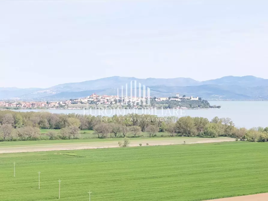 Immagine 4 di Rustico / casale in vendita  in Via Romea, 16 a Castiglione Del Lago