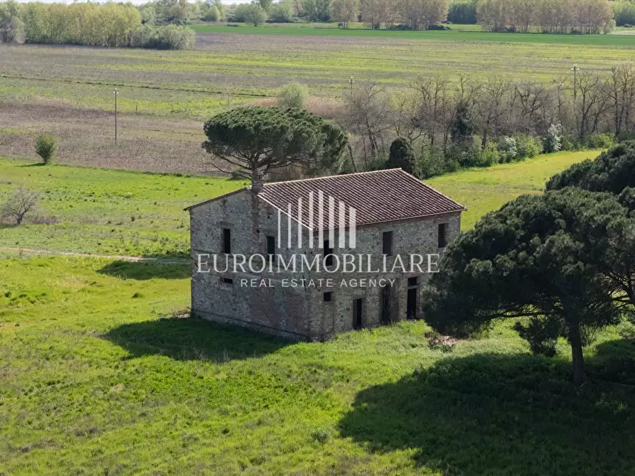 Immagine 6 di Rustico / casale in vendita  in Via Romea, 16 a Castiglione Del Lago